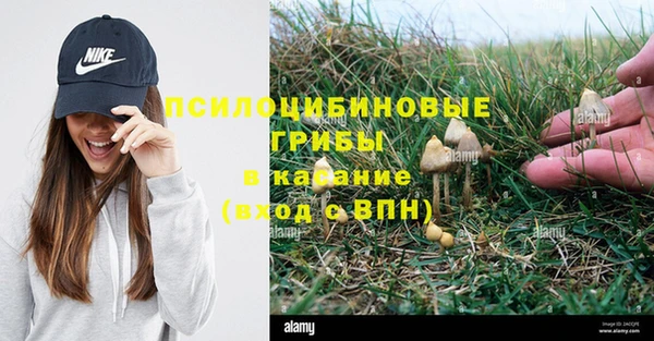 каннабис Богородицк
