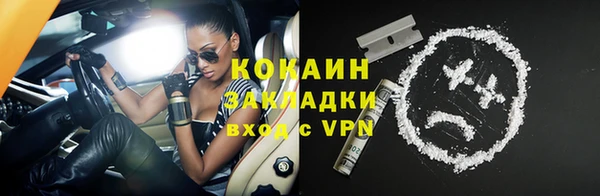 гашик Богданович