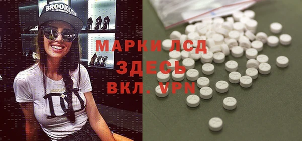 гашик Богданович