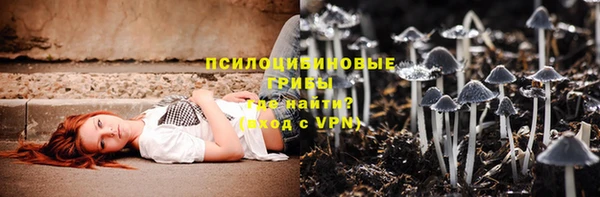 каннабис Новозыбков