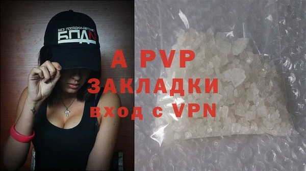 гашик Богданович