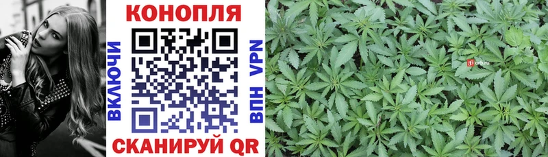 Бошки марихуана сатива  Мончегорск 